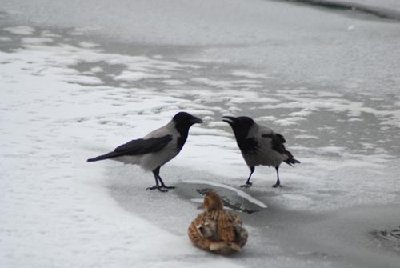 moscow-3.jpg