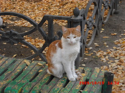 CIMG0515.JPG