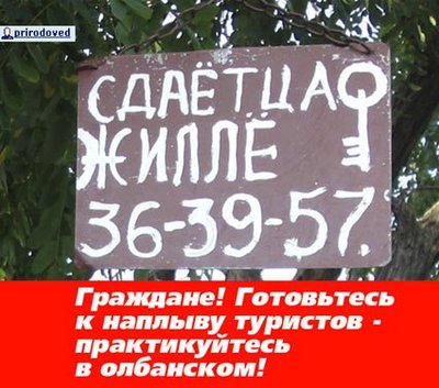 x_36d67e30.jpg