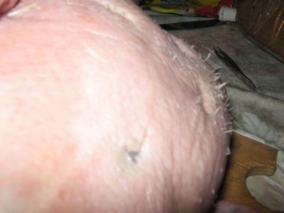 IMG_1308.JPG