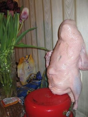 IMG_1319.JPG