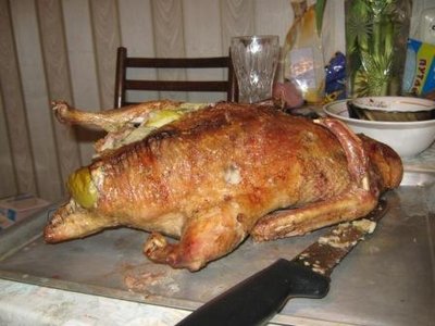 IMG_1325.JPG
