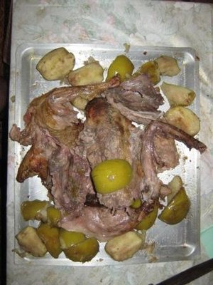 IMG_1330.JPG
