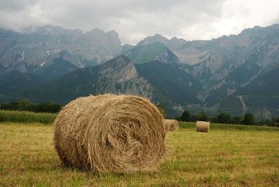 alp.jpg