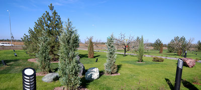 garden.jpg