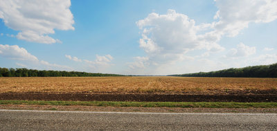 road.jpg