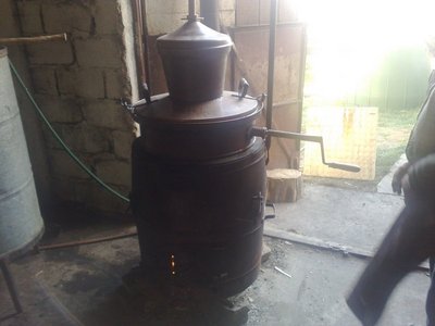 2010-10-04-005-1.jpg