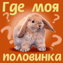 Где моя половинка.gif
